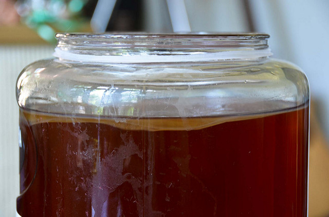 Jar of kombucha with SCOBY