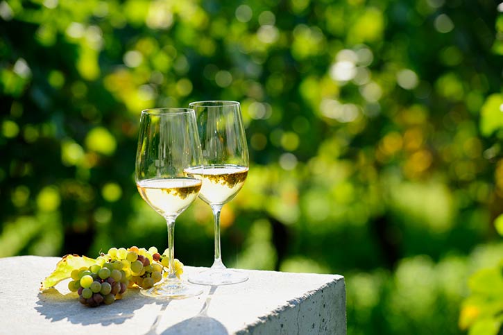 Two Glasses Of Riesling In Vineyard