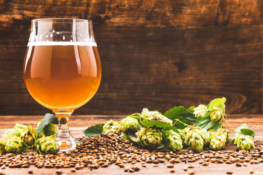 Pint of beer with hops on a wooden table