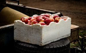 crate of apples